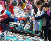 Jagalchi Market